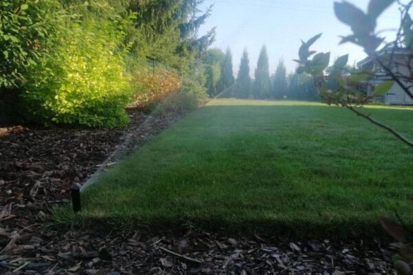 Automatyczne nawadnianie 1