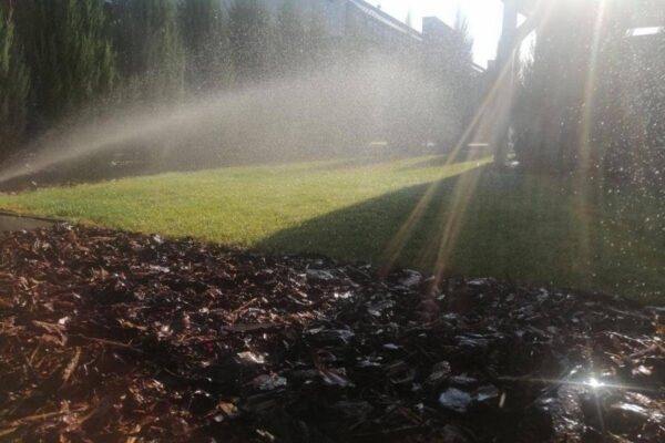 Automatyczne nawadnianie 8