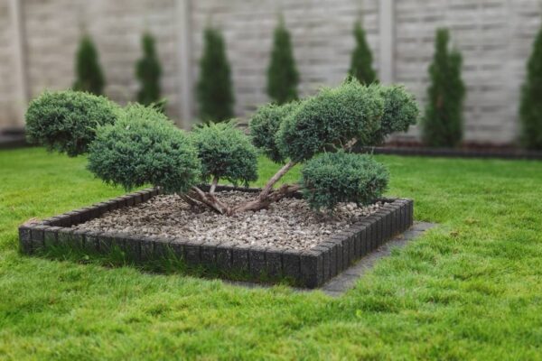 Zakładanie ogrodów 1