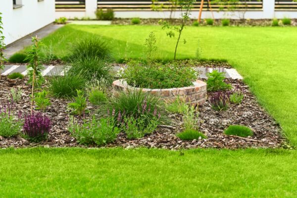 Zakładanie ogrodów 13