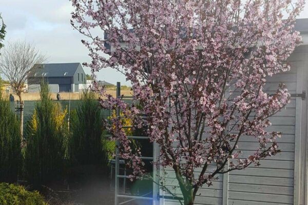 Zakładanie ogrodów 18