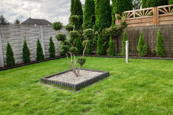 Zakładanie ogrodów 2