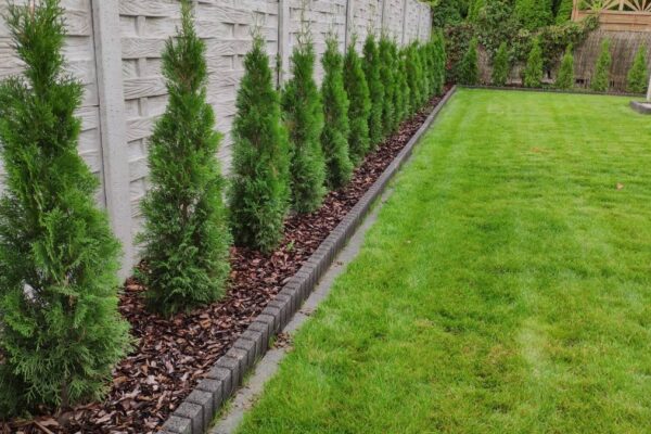 Zakładanie ogrodów 5