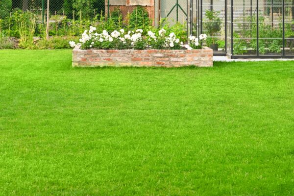 Zakładanie trawnika 1