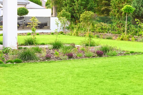 Zakładanie trawnika 3