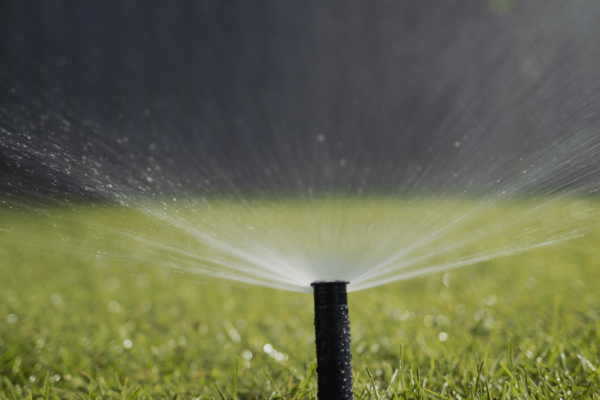 nawadnianie ogrodów poznań 1