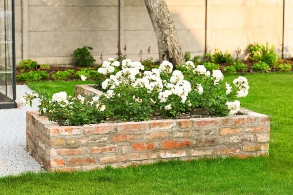 usługi ogrodnicze poznan 1