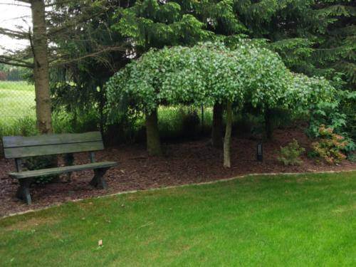 usługi ogrodnicze poznan 10