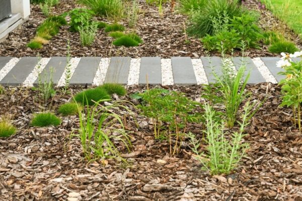 usługi ogrodnicze poznan 3