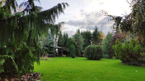 usługi ogrodnicze poznan 7